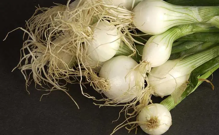 No gastes mas guita en verduras maquina