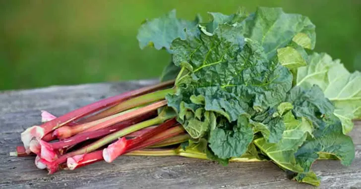No gastes mas guita en verduras maquina