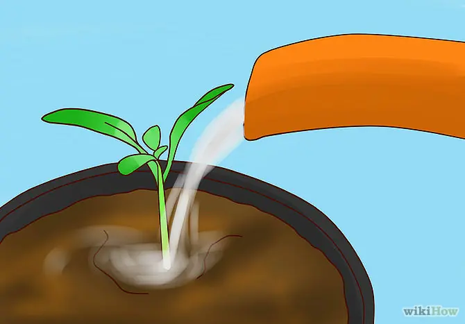 No gastes mas guita en verduras maquina