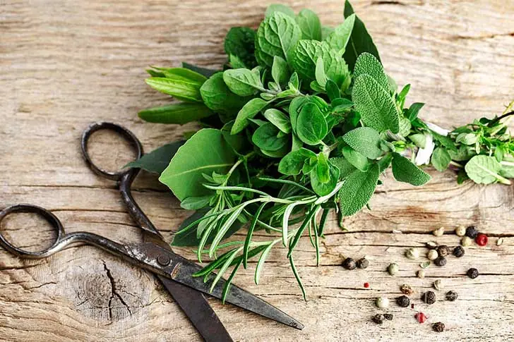 No gastes mas guita en verduras maquina