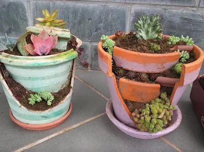 jardineria