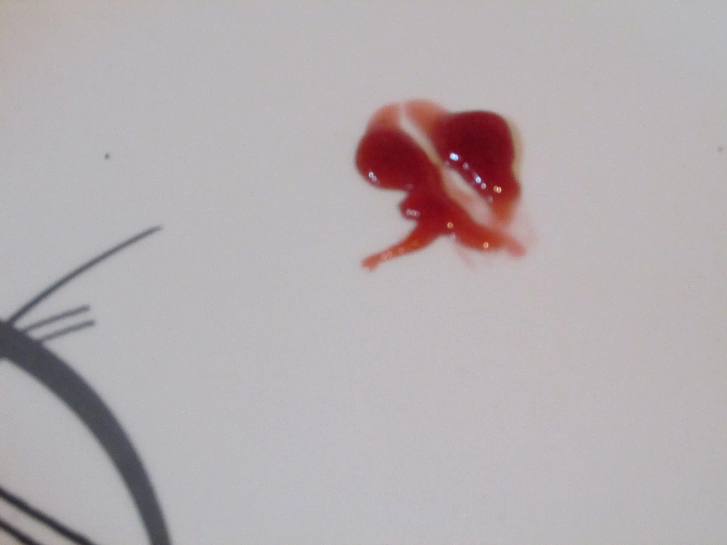 mermelada de frutilla