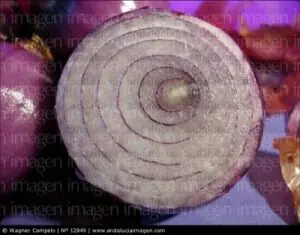 Curiosidades, esta ves de La Naturaleza II