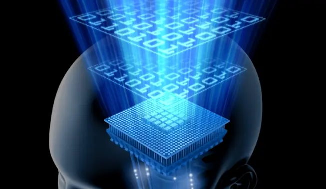 cerebro