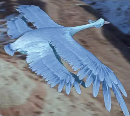 Asi seran los Animales Del Futuro