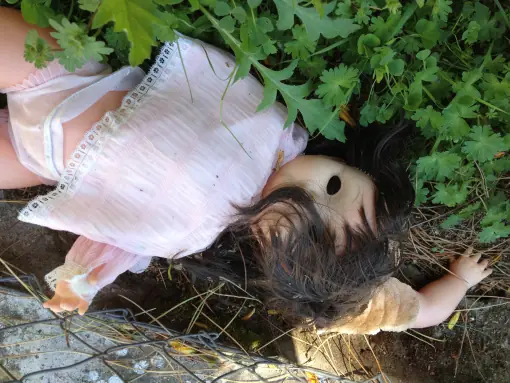 Piedad. La pequeña envenenadora.