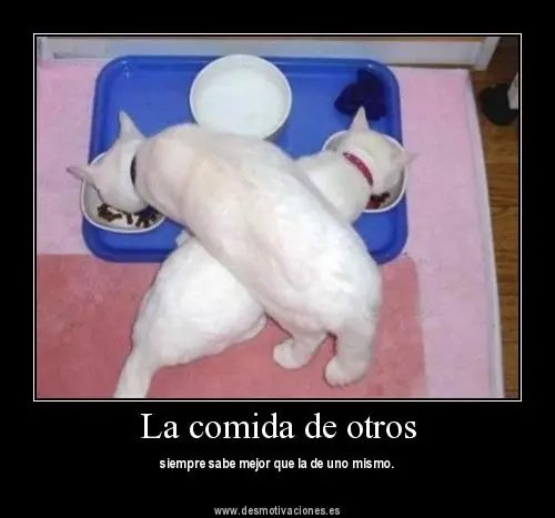 desmotivaciones
