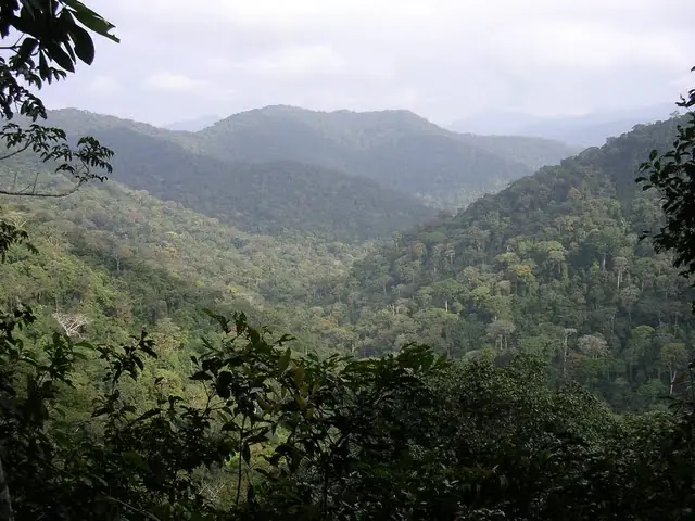 ecuatoria