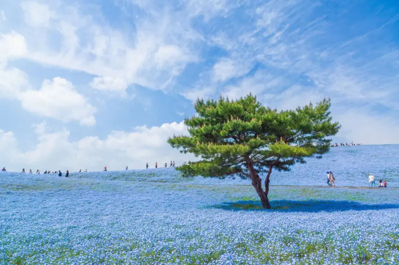Las increíbles fotografías del concurso National Geographic