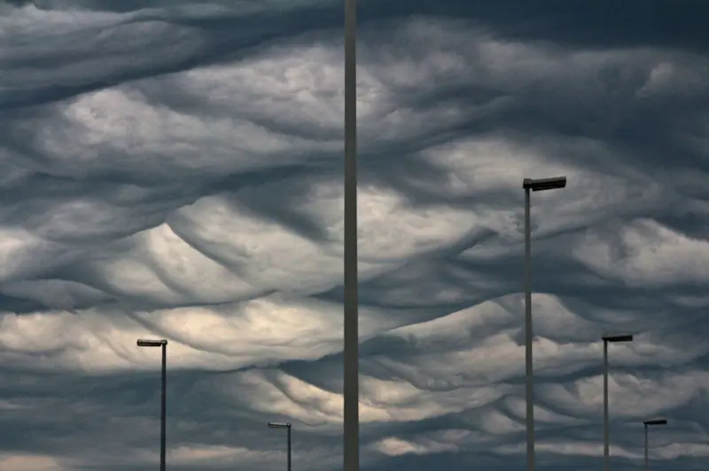 Las increíbles fotografías del concurso National Geographic