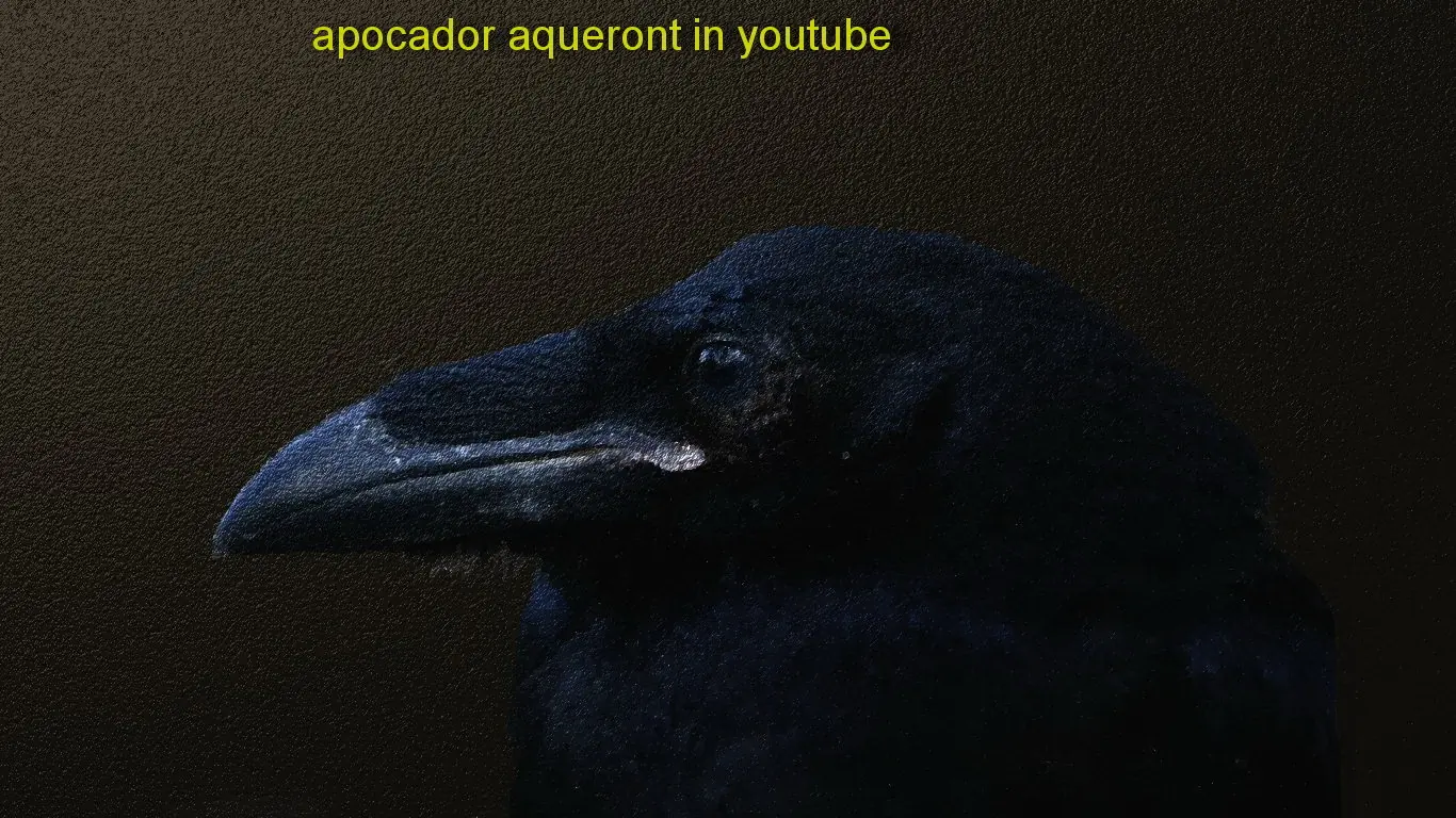 apocador