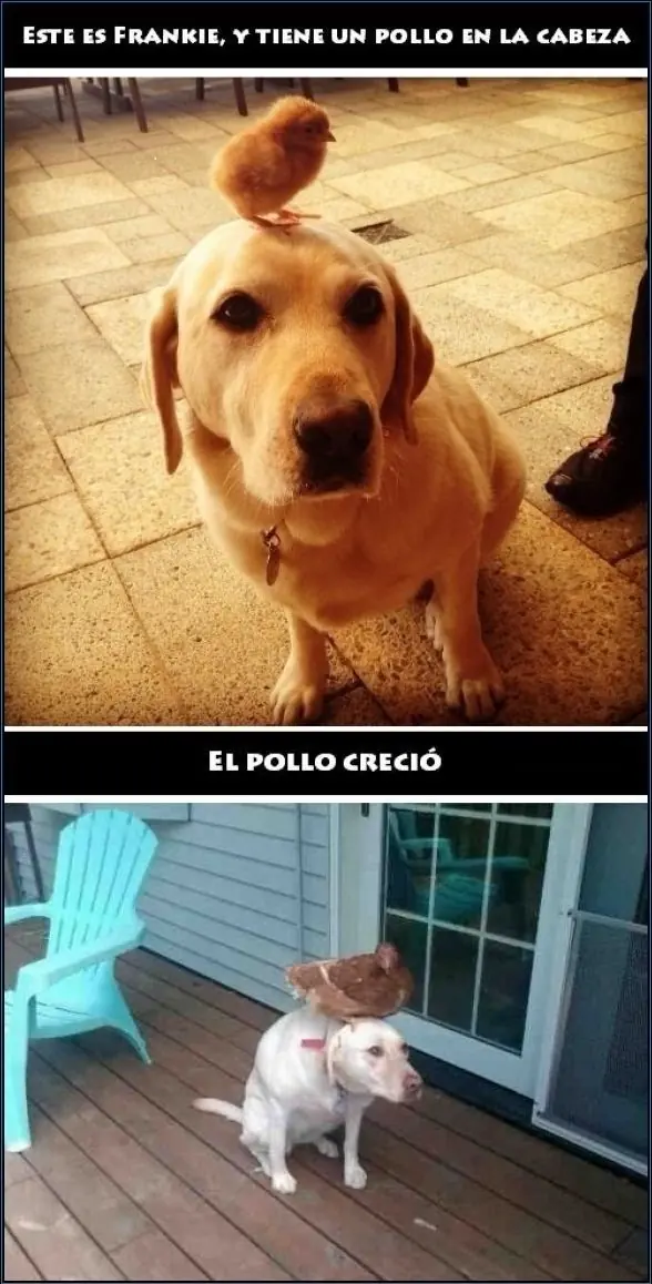 frases