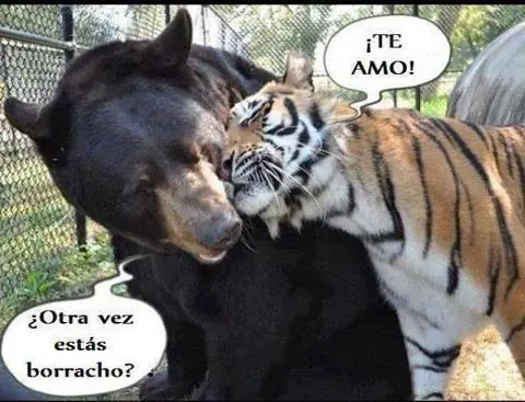 pensamientos