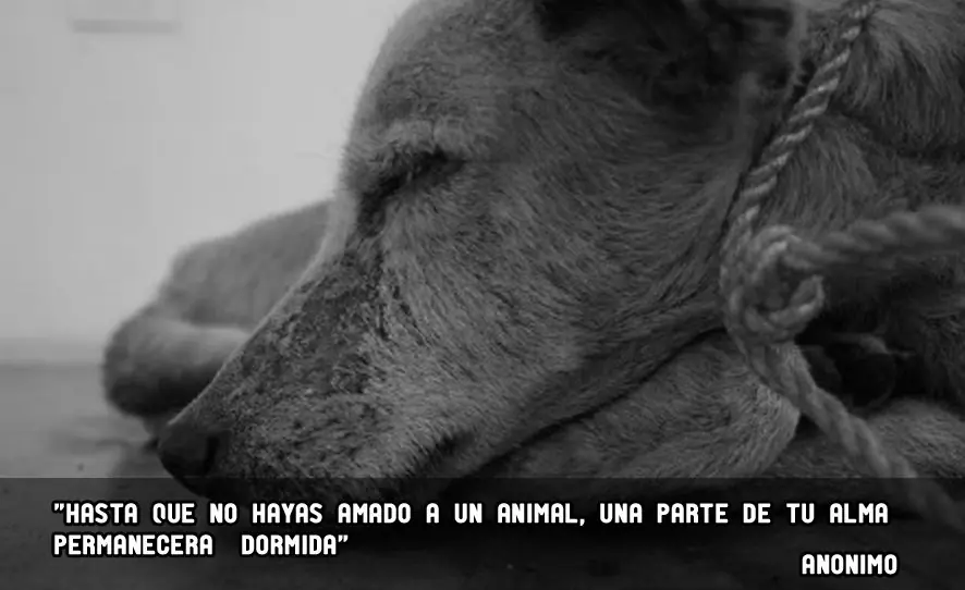 pensamientos