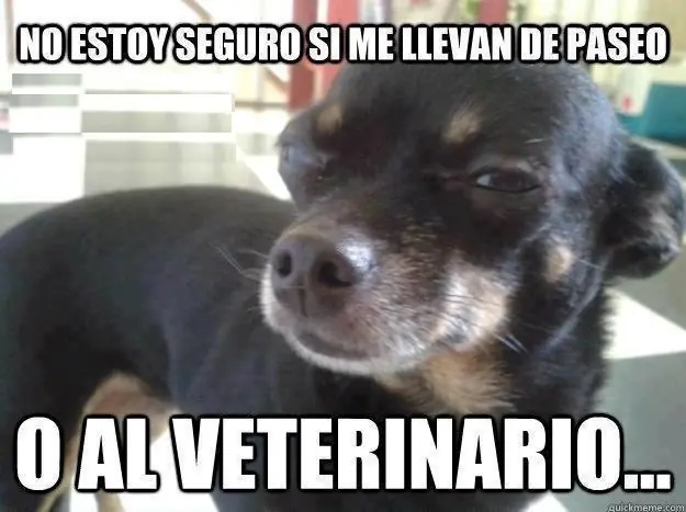 frases