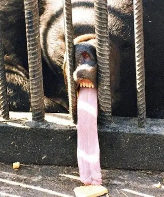 unicos en el mundo