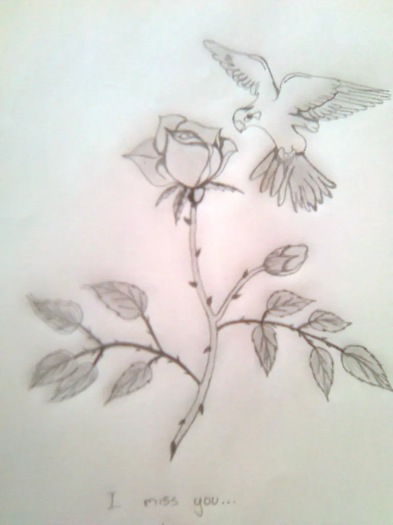 dibujos