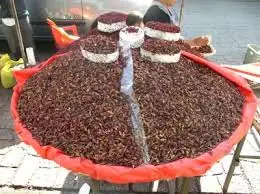 Rico