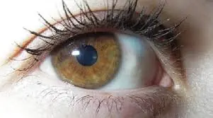 Ojos
