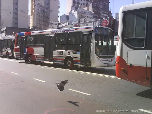 Que significan las chapitas que estan al costado del bondi??