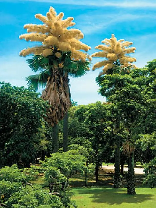 TOP 15 Datos (científicos) mas increíbles.