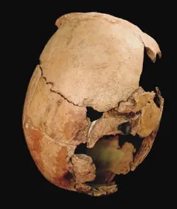 Arqueologia Terror