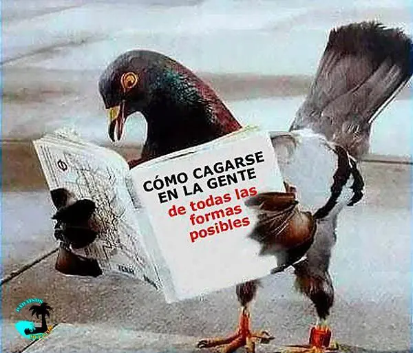 problemas