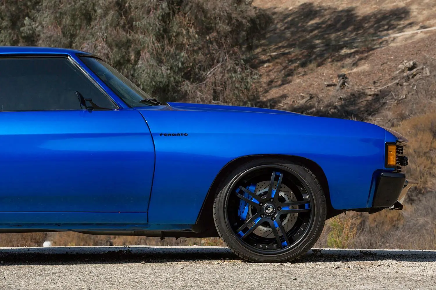 Muscle Cars