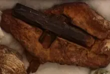 El Arca de Noe