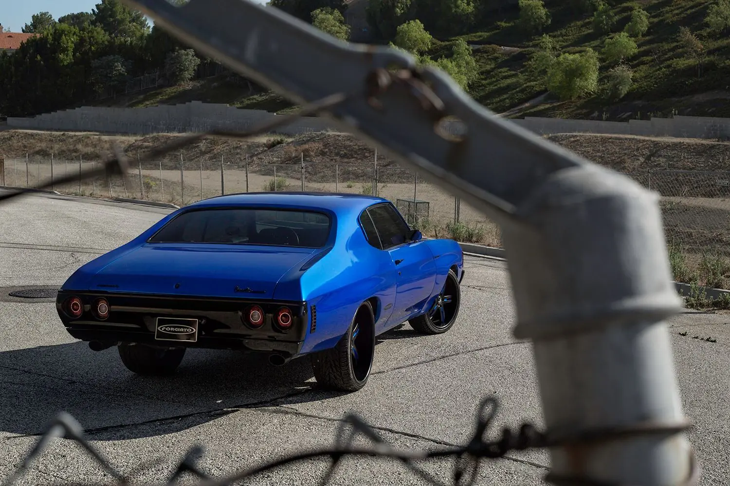 Muscle Cars