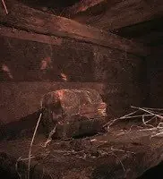 El Arca de Noe