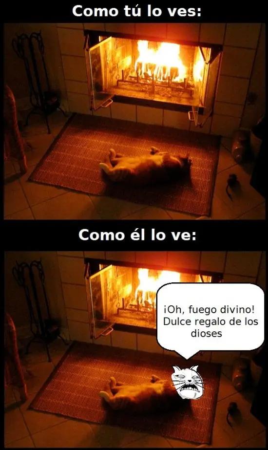 el