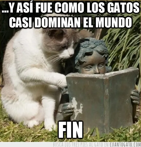 caturday