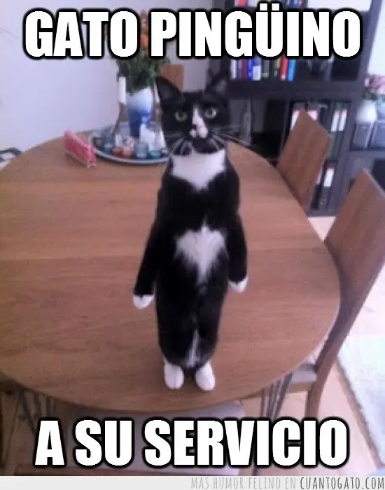 mas