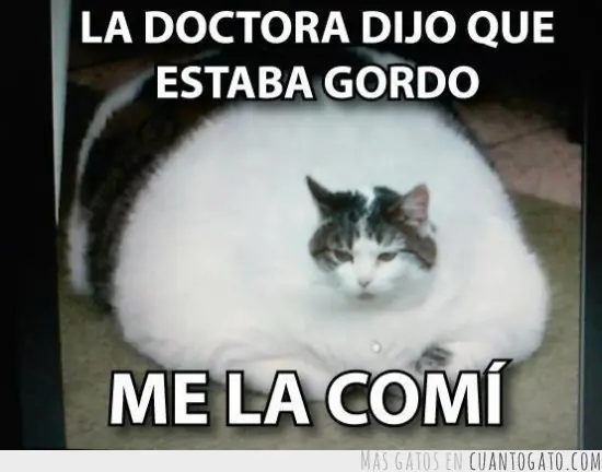 largo