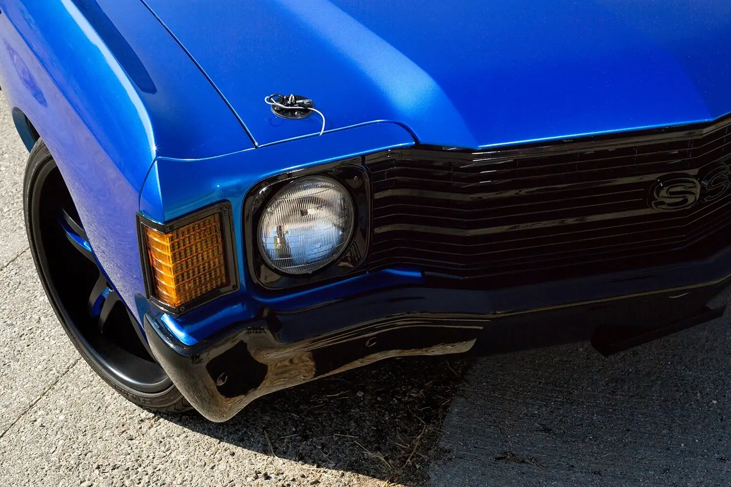 Muscle Cars