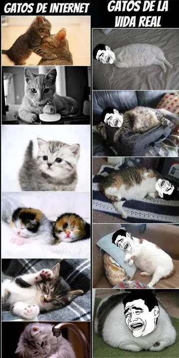 mas
