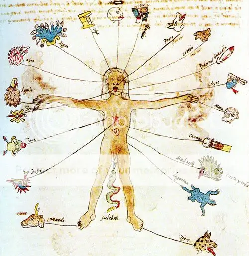 medicina mercantilizada