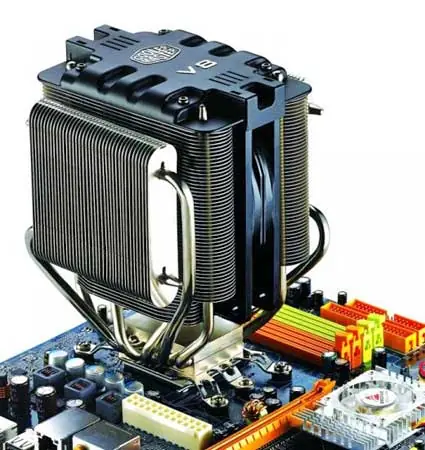 amd