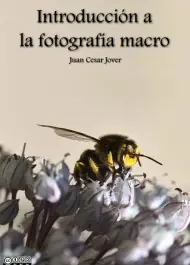 ¿Queres aprender? Acá tenes...