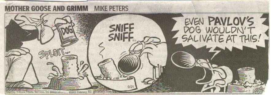 humor