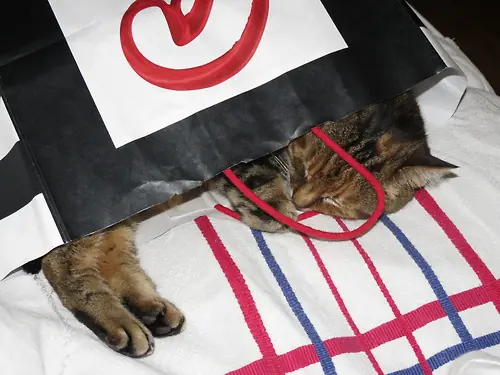 Caturday (El Post de Gatos mas Largo)