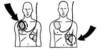 cardiorespiratorio