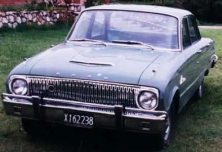 falcon