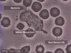 quimica inorganica