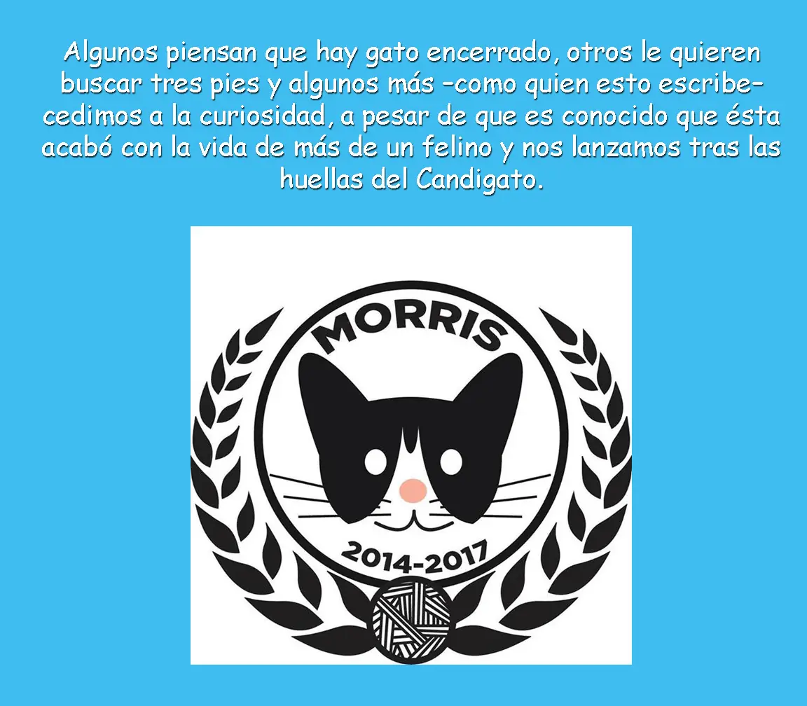 ¿Conoces al candigato Morris? [Entra]