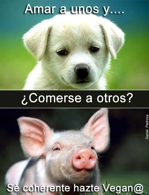 vegano
