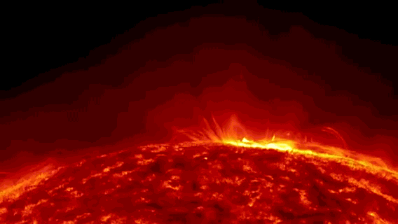 curiosidades