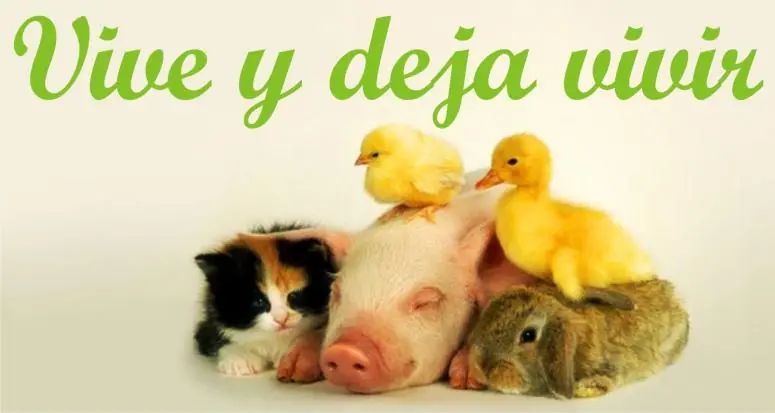 Me hice vegano y te cuento porque parte 1 (Post informativo)