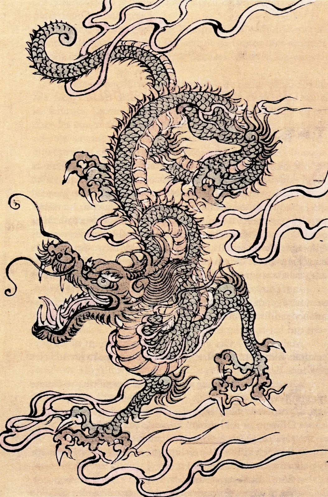 chino dragones